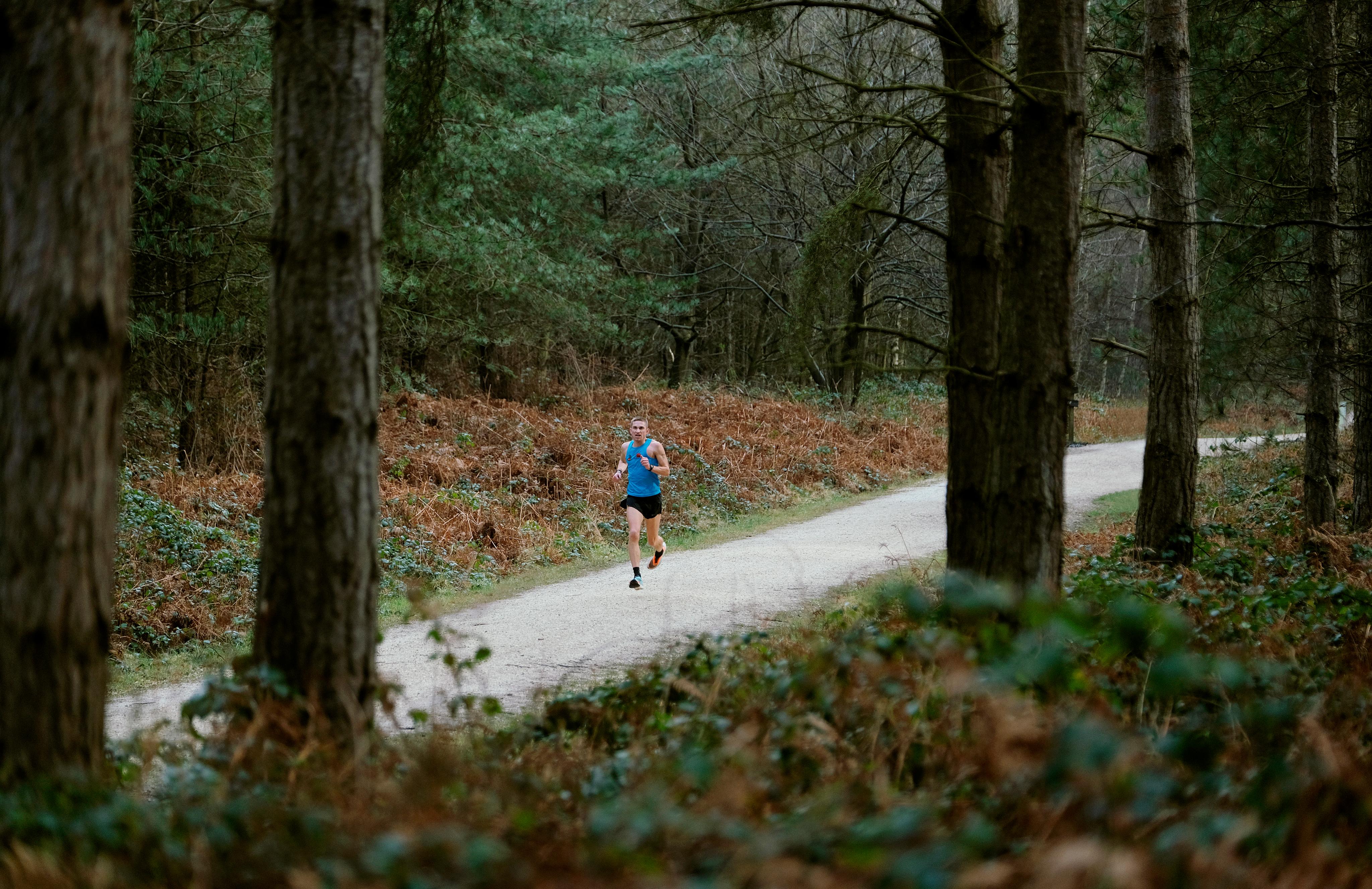 sherwood pines black route